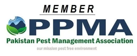 Member of ppma